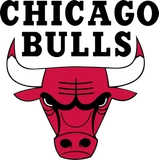 Chicago Bulls crest