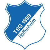 Hoffenheim crest
