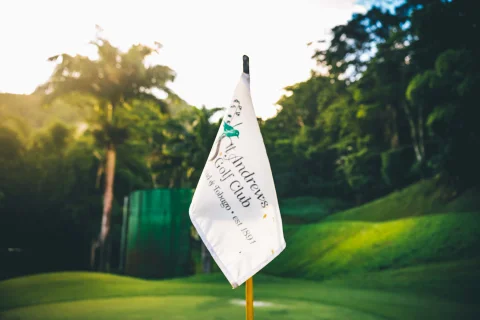 Golf course green; illustrative sport photography